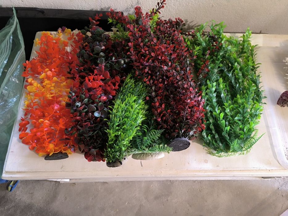 Аквариуми със стъклен капак нови