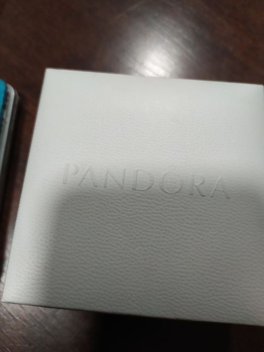 Сребърен медальон/синджир Пандора