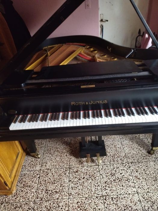 Pian roth & junius