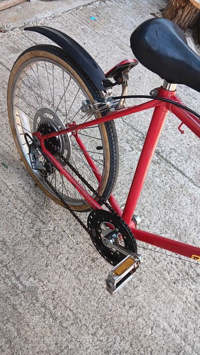 Semicursiera Raleigh