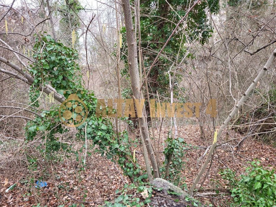 Продава се Парцел в к.к. Златни пясъци - 1199 кв.м за 276 €/кв.м - Снимка #1