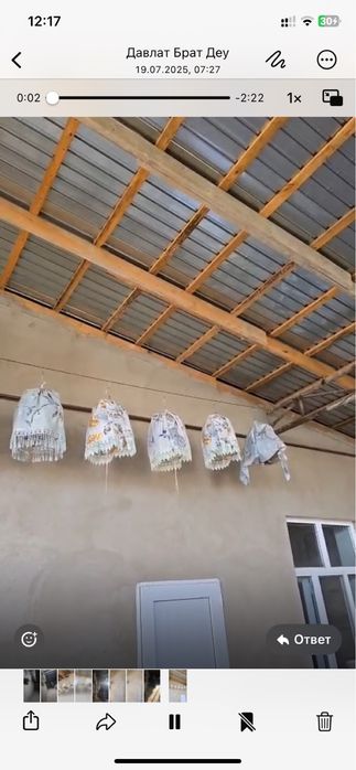 Певчие перепелки все в пении