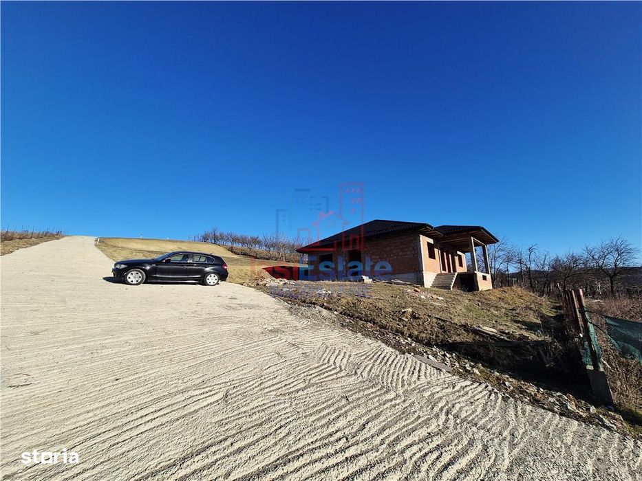 Casa individuala cu verere frumoasa