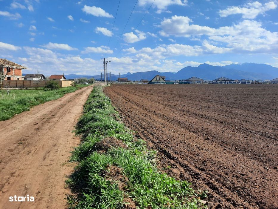 Teren Rezidențial 52.800 mp Tărlungeni, Cartier Izvor, Brașov