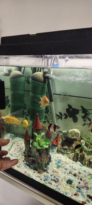Acvariu 120 l complet