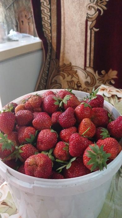 Продам свежую ягоду