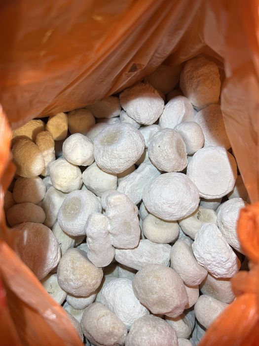 Курт ,сузбе курт