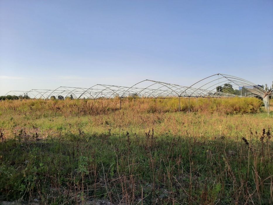 Yuqori chirchiq tumanida 200 sotok yer sotiladi