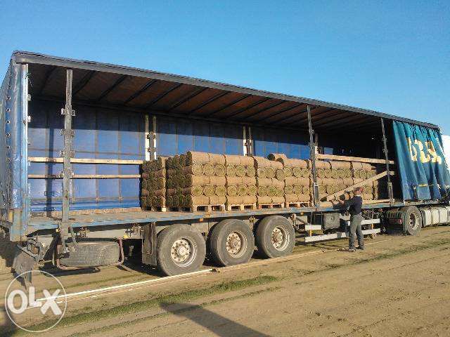 Gazon rulou calitate exceptionala