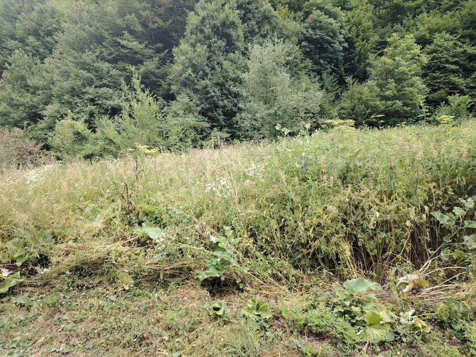 Продава се Парцел в с. Рибарица, Област Ловеч - 1291 кв.м за 40 €/кв.м - Снимка #2