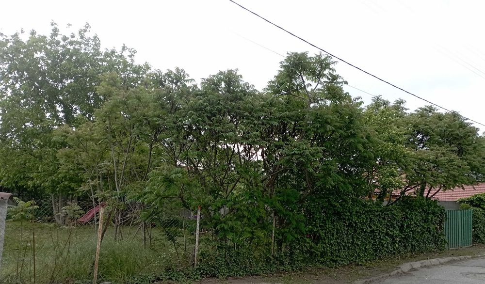 Teren intravilan în oraș Sibiu