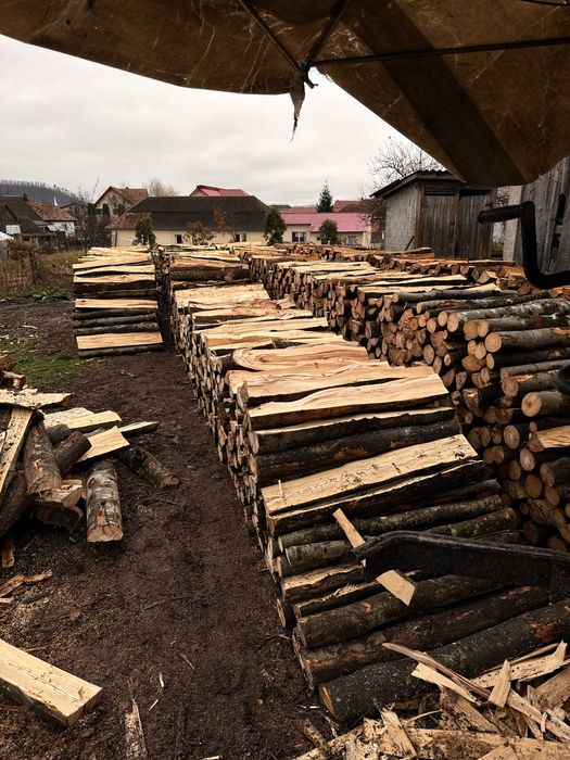 Lemn de foc fag și carpen livrat în Livezeni/Corunca