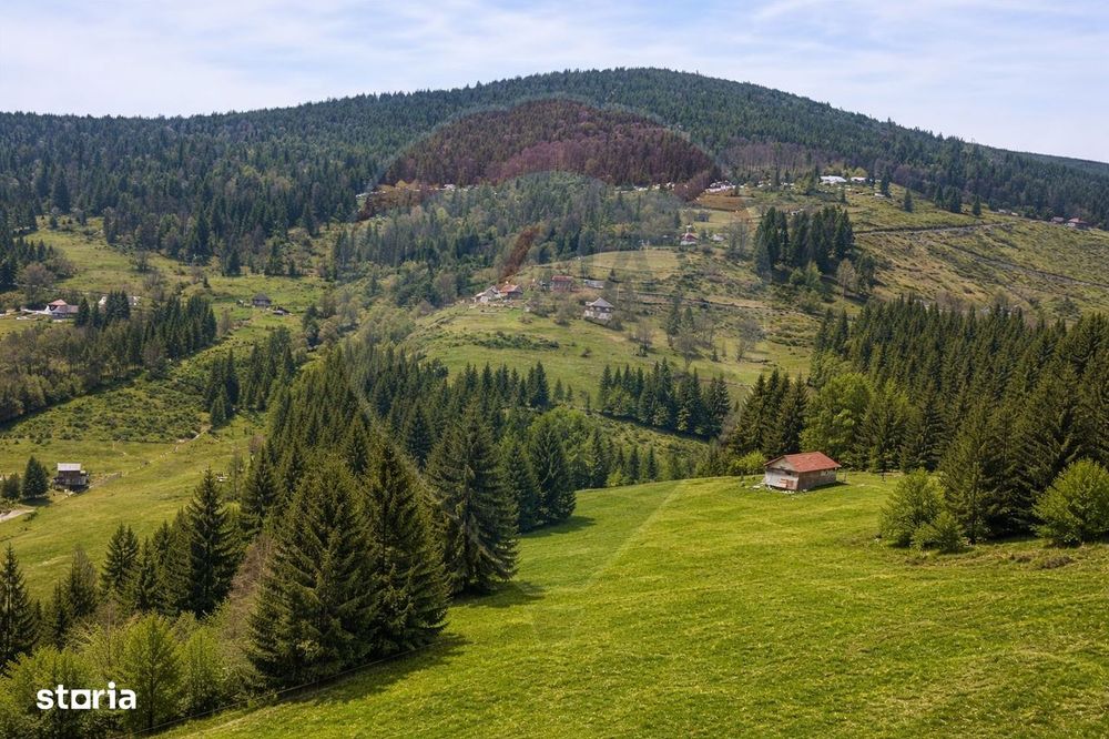 Teren de vanzare în inima Apusenilor – 6.500 mp Arieșeni