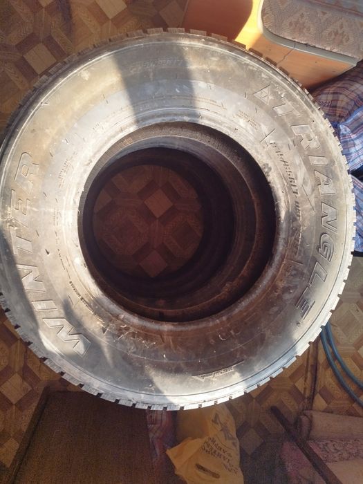 Шины зимние Triangle