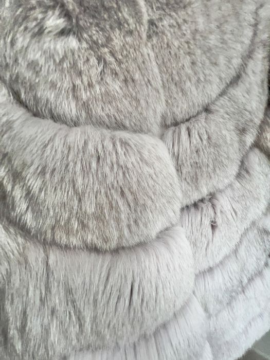 Haina de vulpe polara