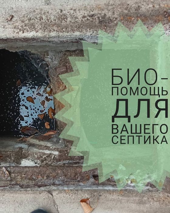 Очиститель септиков