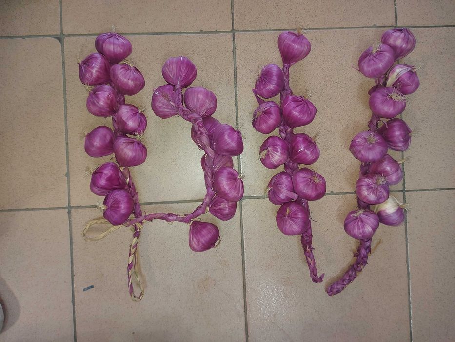 Зеленчуци декоративни