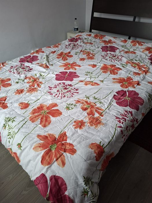 Perna pene gaina+pilota