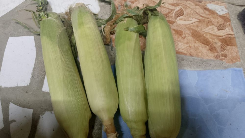 Кукуруза мороженная