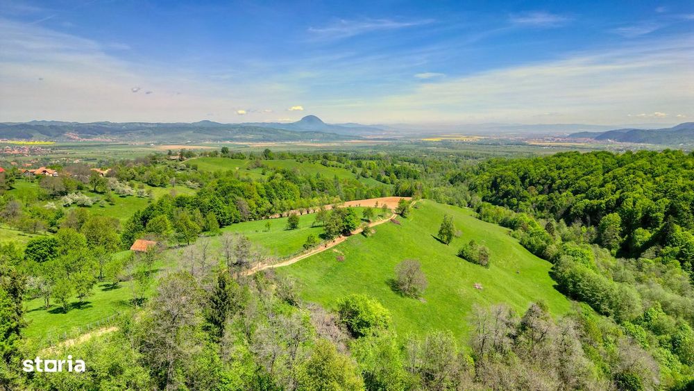 Teren extravilan 20.000 mp, zona Bran, vedere spre Munții Bucegi