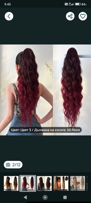 Кок с шнола      .