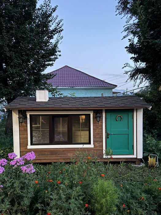 Капсула идеи для бизнеса