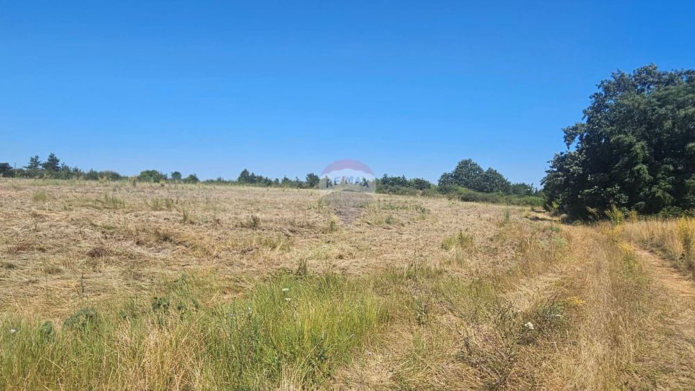 Продава се Парцел в с. Близнаци, Област Варна - 6900 кв.м за 44 €/кв.м - Снимка #3