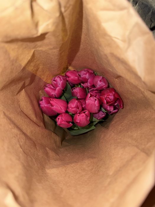 Свежие тюльпаны к 8 марта