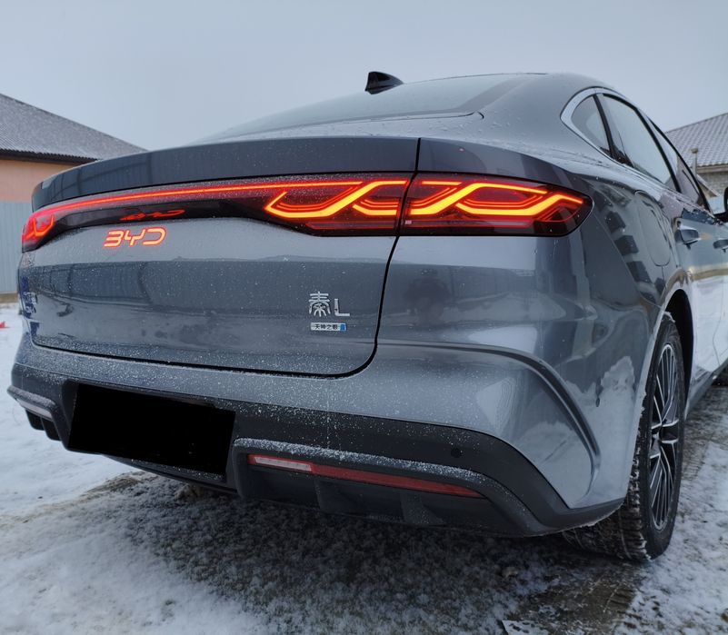 Qin L DM-I Максималка