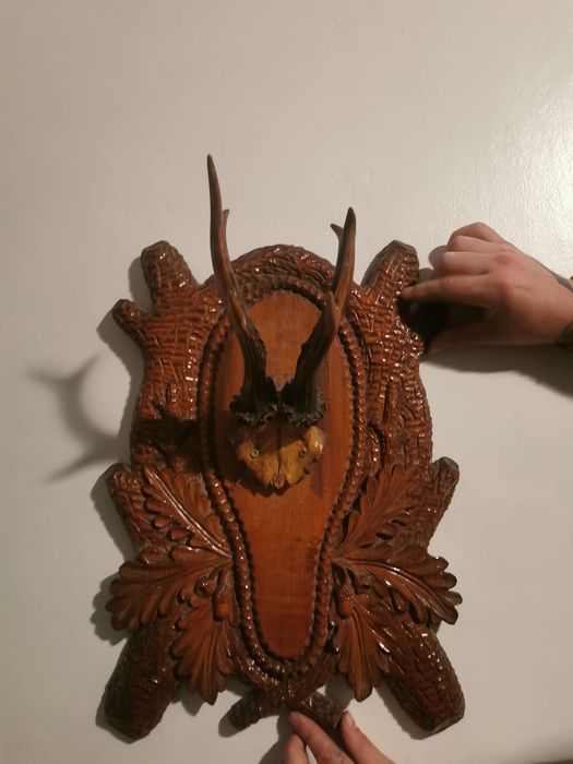 Vând trofee vânătorești!