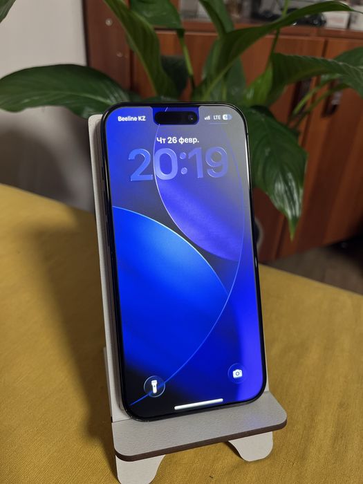 Iphone 15 pro емкость 95