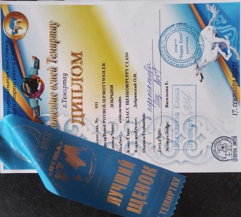 Кабель ротвейлер для вязки