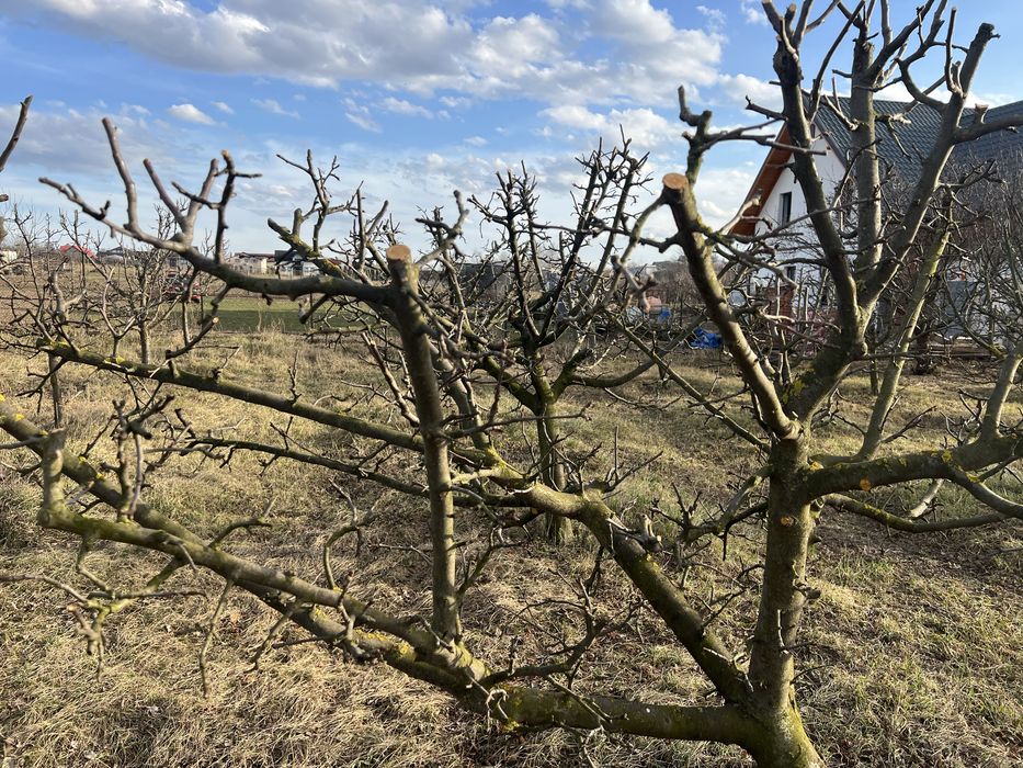Teren de vânzare Drumul Tătarilor