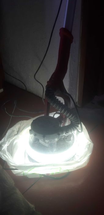 Шкурка апарад с лапа