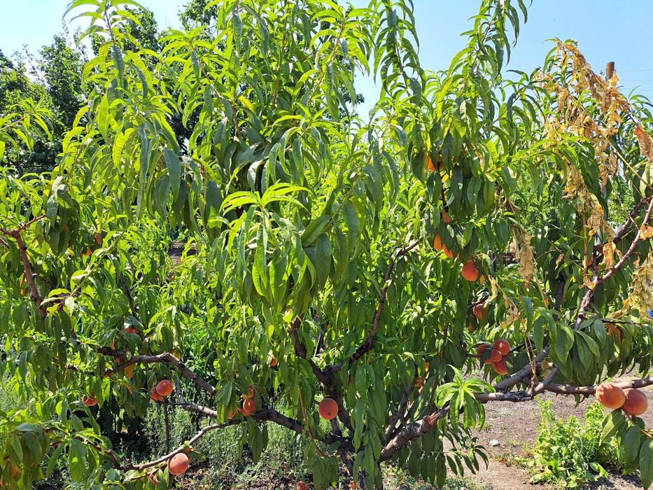 Собственик продава двуетажна масивна къща