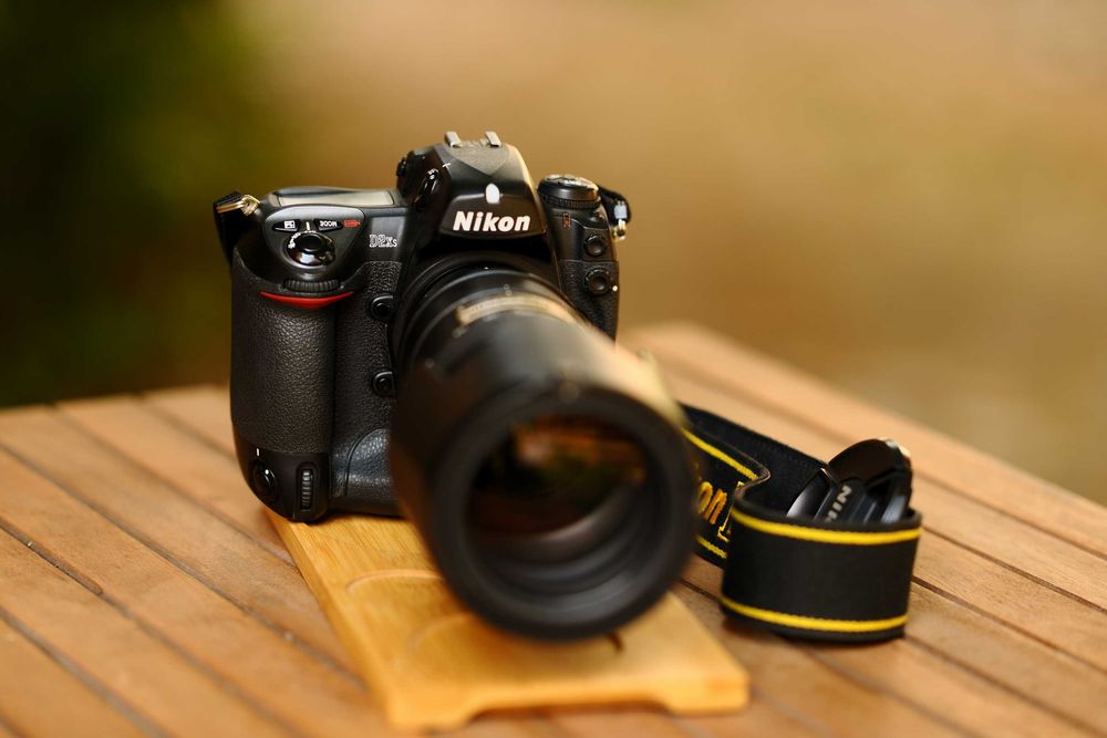 Nikon D2X s + 70-200 2.8 VR