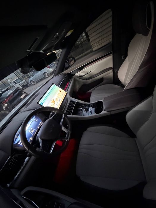 Other Song Pro DM-i Champion 2025 — 5