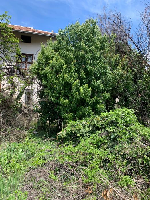 Къща за реставрация в   с. Илинденци Струмяни Сандански