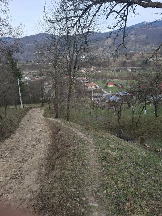 Vând pământ la Valea VISEULUI jud  MARAMUREȘ
