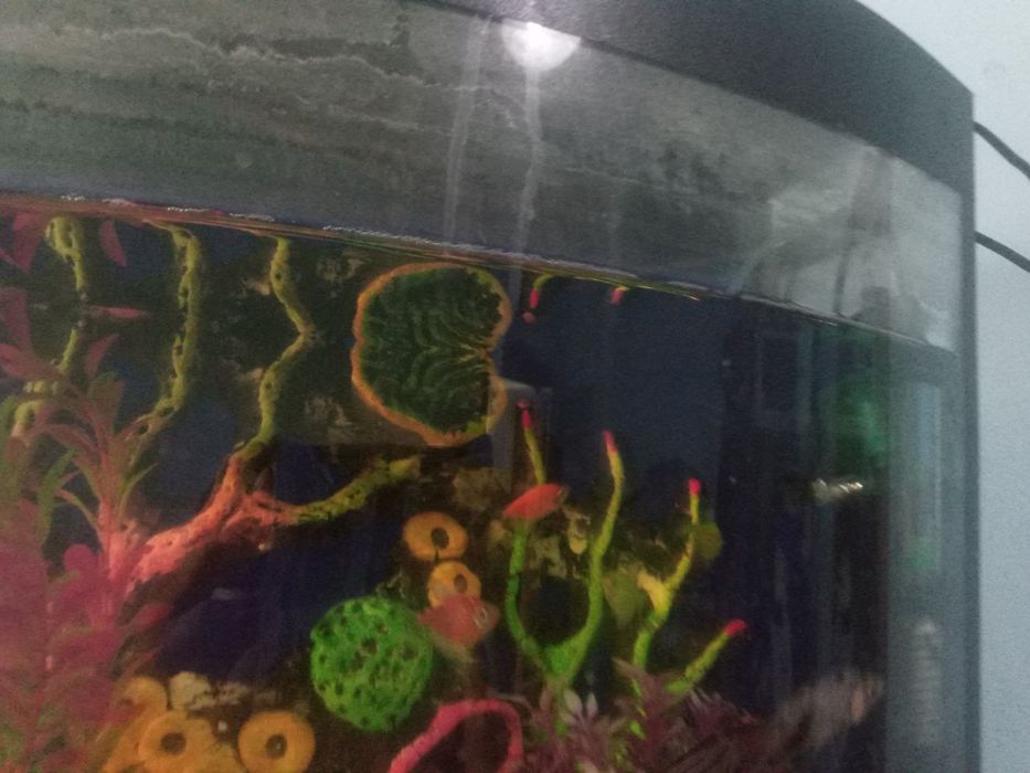 Продается аквариум причина продат время нету ухаживат