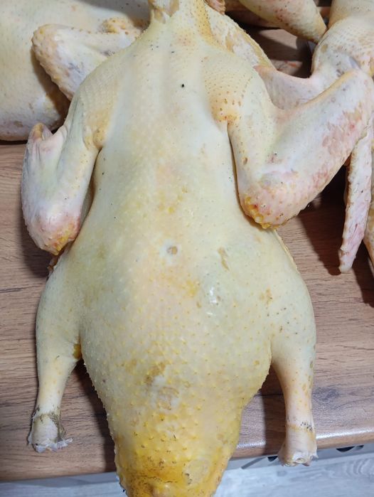 Продам гусей и индоутки