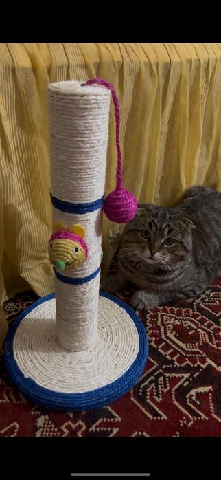 Продам когтеточку