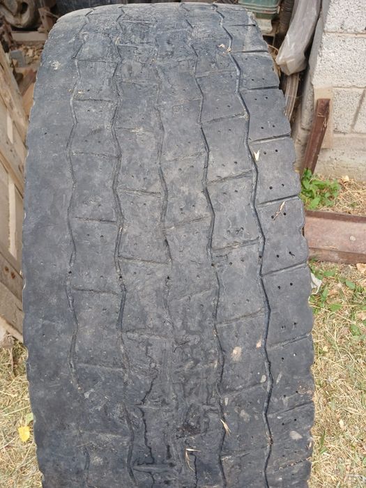 Мишилени ведущих