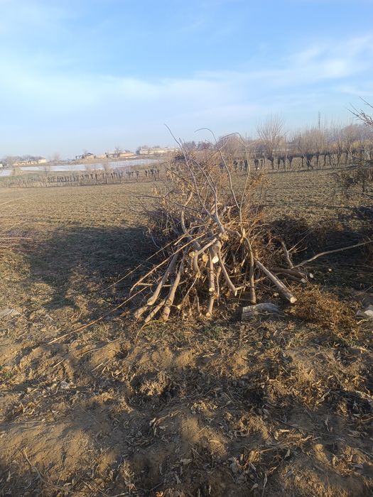 Отын іздегендер болса отын бар