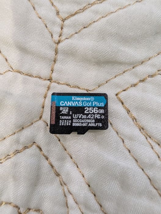 Card Kingston Canvas Go Plus 256