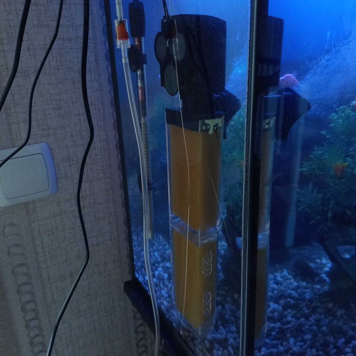 Akvarium  ichida 16 ta turli baliq va 2 xil kuchli filterlari bilan