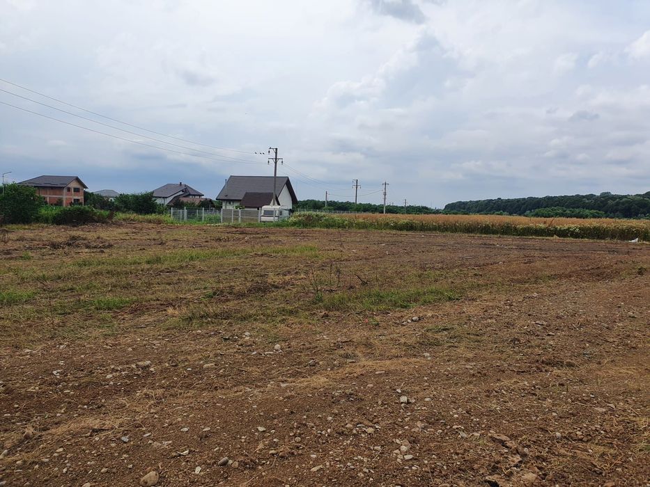 Teren de vânzare  Izvorani- lac Snagov