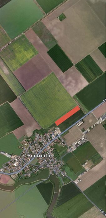 Teren extravilan Sindrilita 10.000mp