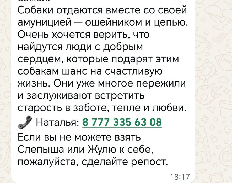 Две собачки в хорошие руки.