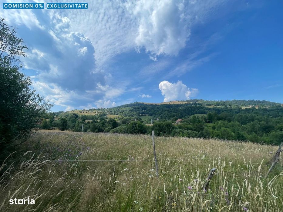 Teren cu potențial turistic, cadru natural rar, 20.000 mp Sacuieu